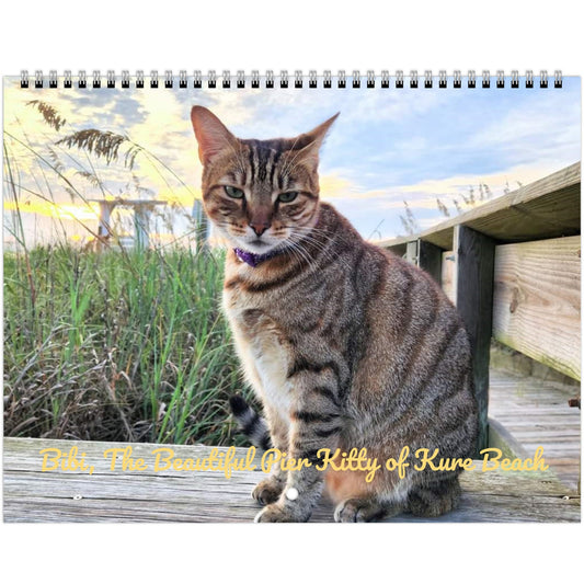 Bibi, The Beautiful Pier Kitty of Kure Beach - 2024 Calendar